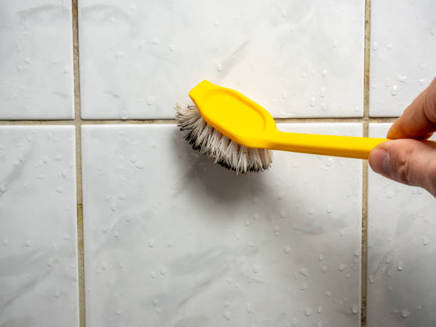 Best Mold Removal Near Me  in Oberlin, OH