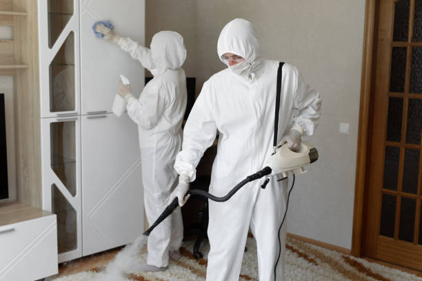 Trusted Oberlin, OH Mold Removal Experts