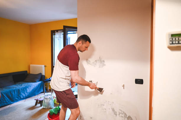 Reliable Oberlin, OH Mold Removal Solutions